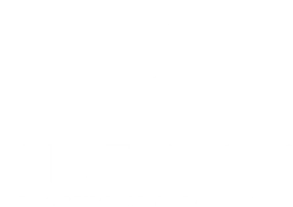 Instinct Dog Training Portland