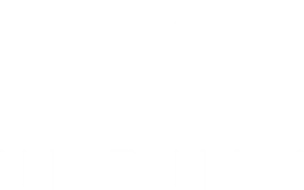 Instinct Dog Training Portland