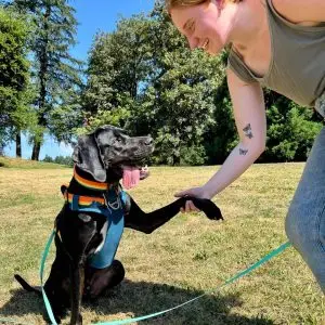 Black dog shaking hands with trainer outdoors during a private coaching session